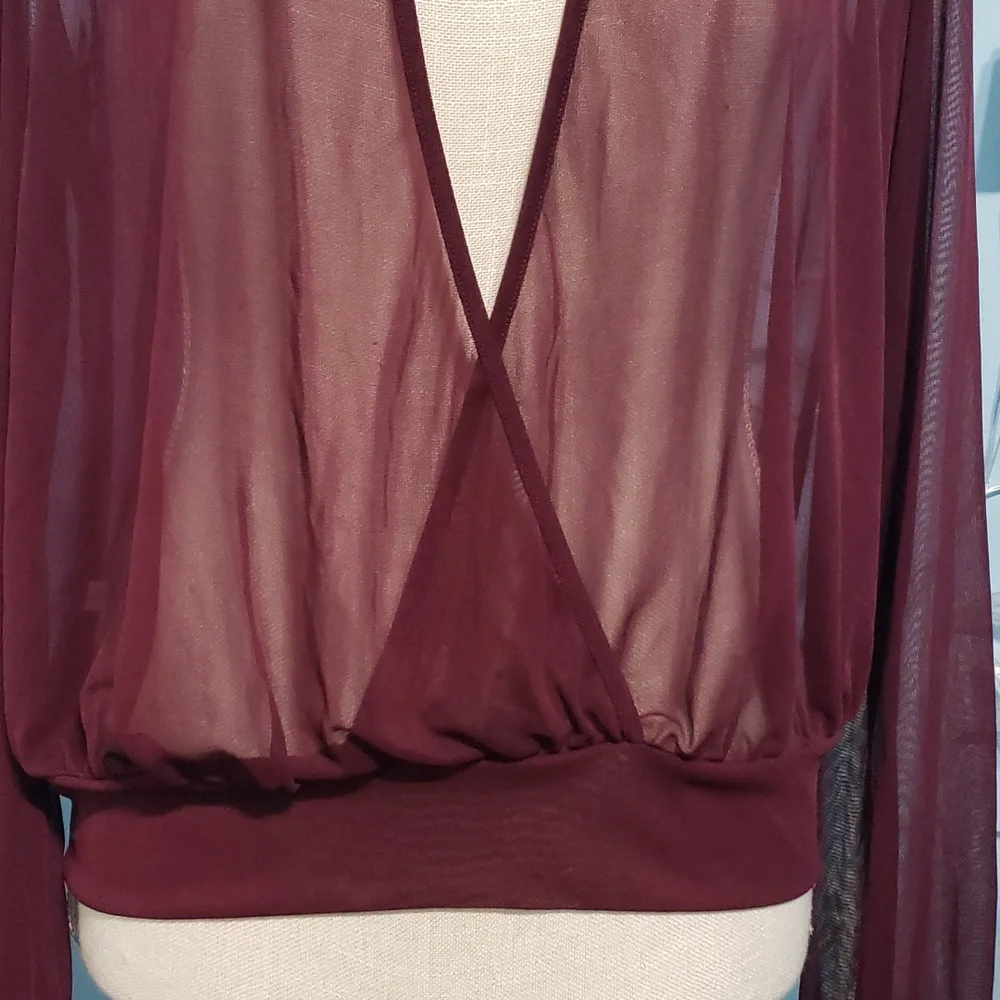Express Sheer Deep-V Top - Picture 3 of 7